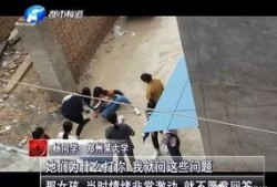 河南爆料女孩事件视频,真相与争议交织的舆论漩涡